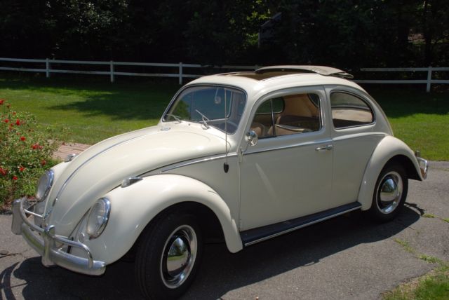 1961 Volkswagen Beetle - Classic SUNROOF - photo 2