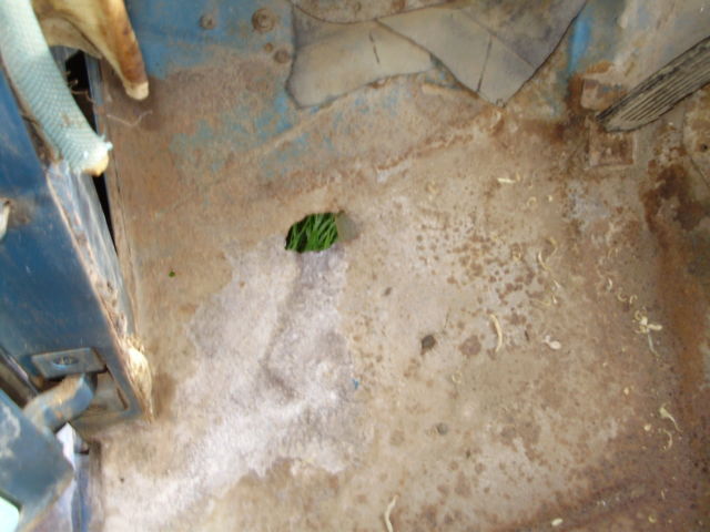 1961 Willys - photo 7