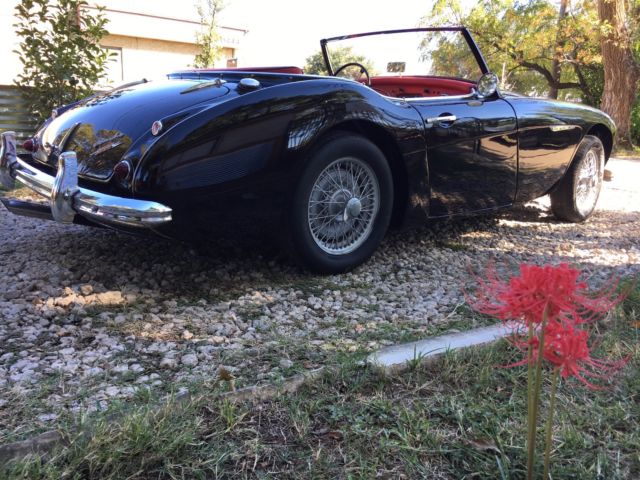 1962 Austin Healey G80 3000 BT7 - photo 6