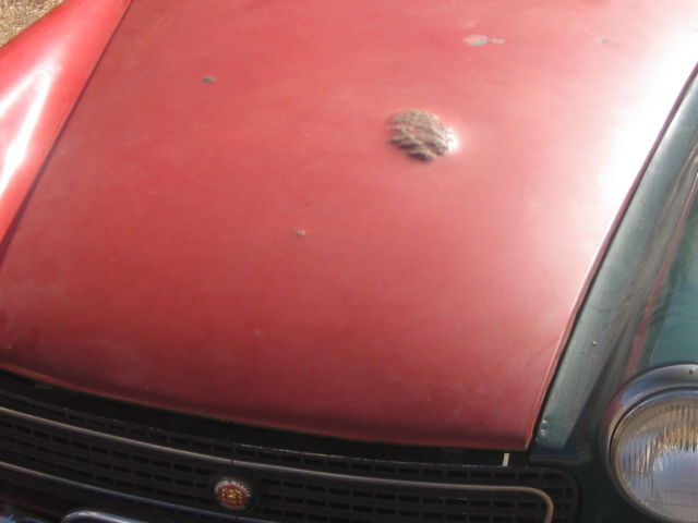 1962 Austin Healey Sprite - photo 13