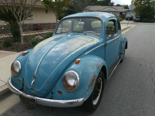 1962 Classic VW Bug 1962 Volkswagen Beetle - Classic white
