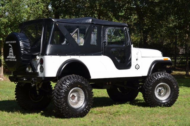 1962 Jeep Wrangler Willys - photo 6