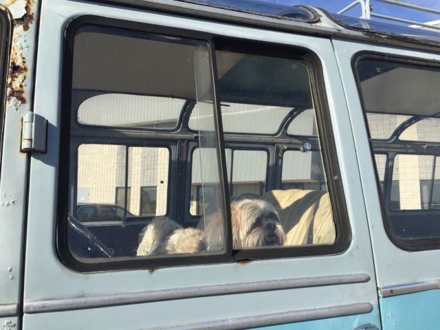 1962 Mercedes-Benz Bus - photo 11