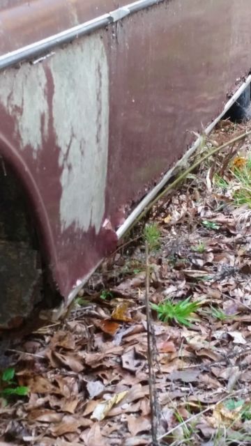 1962 Mercedes-Benz SL-Class - photo 4