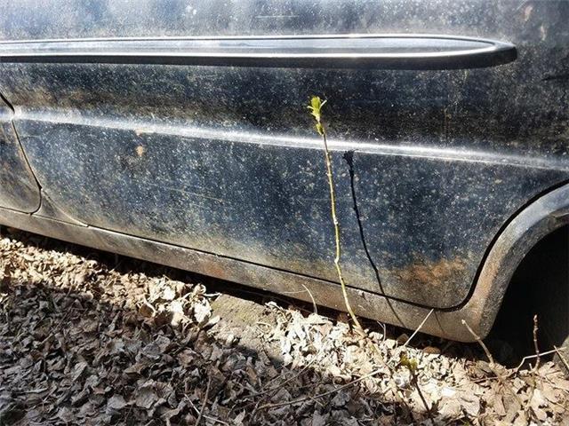 1962 Oldsmobile Eighty-Eight -- - photo 6