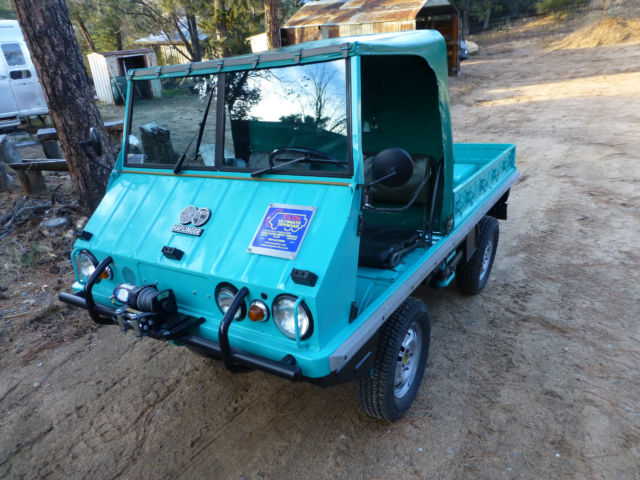 1962 Other Makes Haflinger - photo 2
