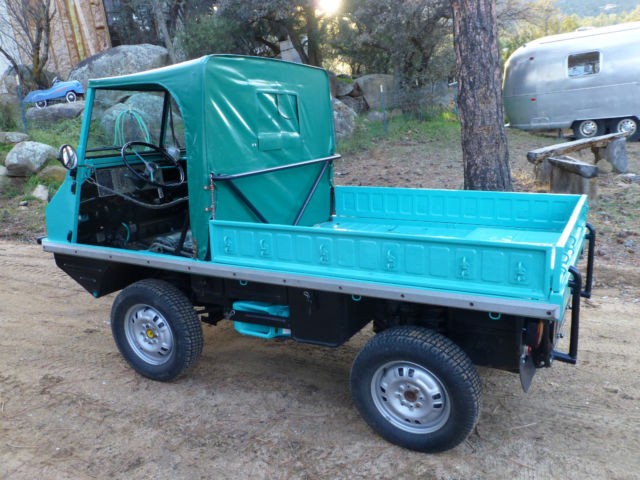 1962 Other Makes Haflinger - photo 3