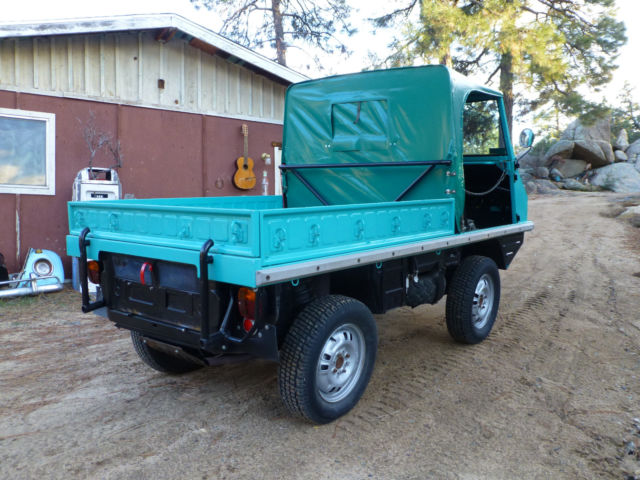 1962 Other Makes Haflinger - photo 4