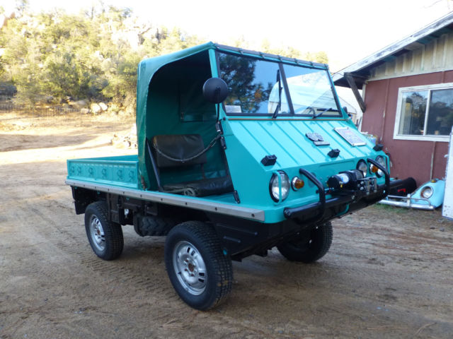 1962 Other Makes Haflinger - photo 5