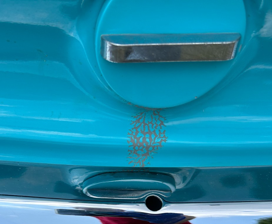 1962 Studebaker Lark Daytona Convertible - photo 10