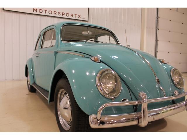 1962 Volkswagen Beetle-New -- - photo 5