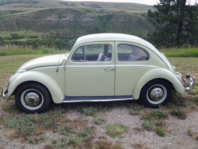 1962 VOLKSWAGEN BEETLE ORIGINAL 1962 Volkswagen Beetle - Classic