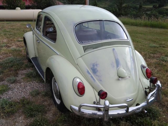 1962 Volkswagen Beetle - Classic - photo 3