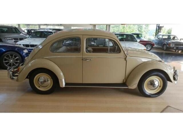 1962 Volkswagen Beetle - Classic - photo 3