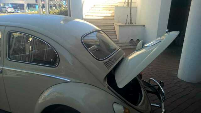 1962 Volkswagen Beetle - Classic - photo 9