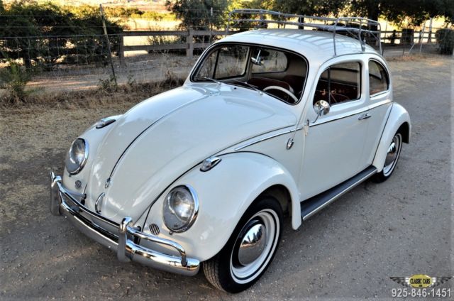 1962 Volkswagen Beetle - Classic EXCEPTIONAL PROF. RESTORATION OF A CA CAR - photo 2