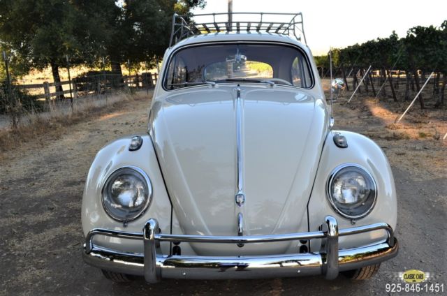 1962 Volkswagen Beetle - Classic EXCEPTIONAL PROF. RESTORATION OF A CA CAR - photo 5