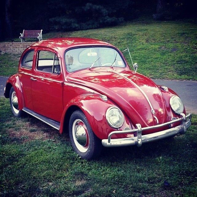 1962 Volkswagen Beetle - Classic - photo 2