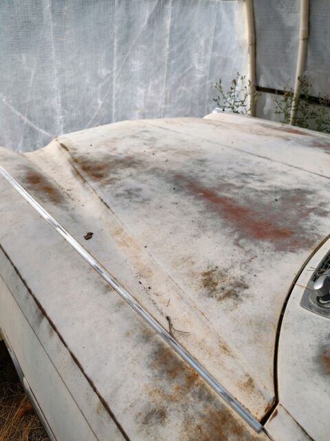 1963 Cadillac Fleetwood - photo 6