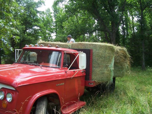 1963 Dodge Other - photo 12