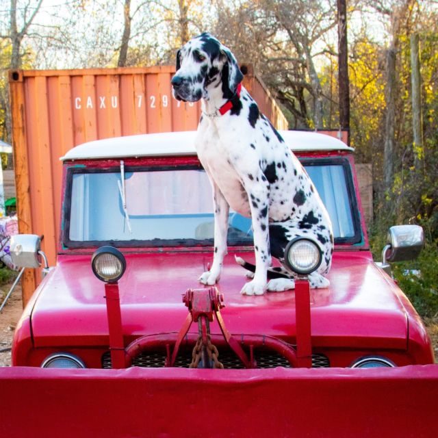 1963 International Harvester Scout - photo 3