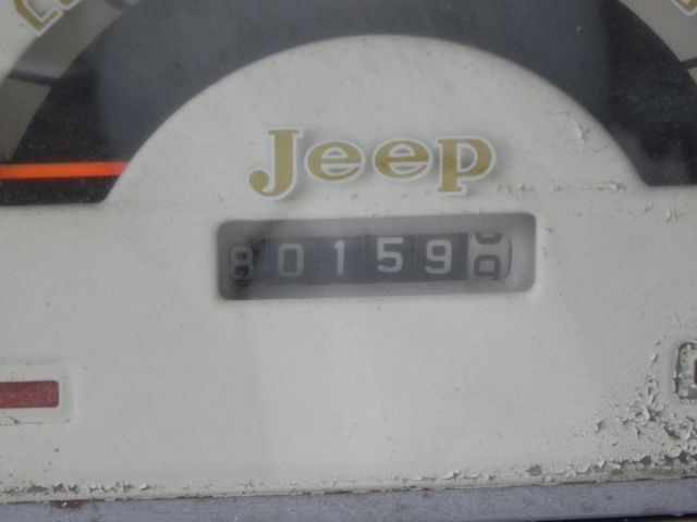 1963 Willys J200 - photo 9
