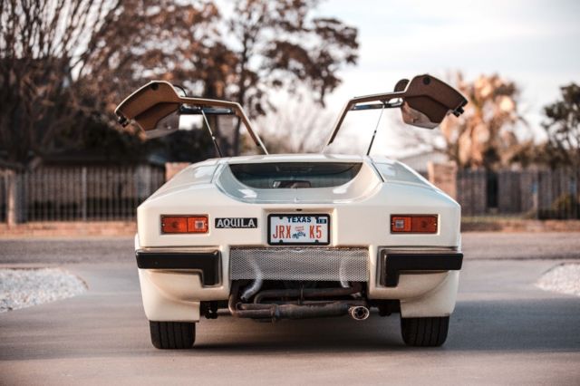 1963 Volkswagen Aquila Gullwing - photo 4