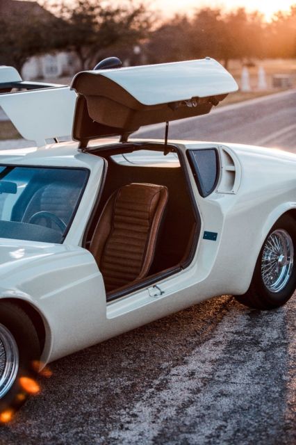 1963 Volkswagen Aquila Gullwing - photo 5