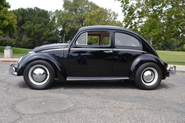 1963 Volkswagen Beetle-New -- - photo 2