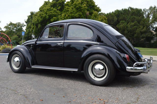 1963 Volkswagen Beetle-New -- - photo 3