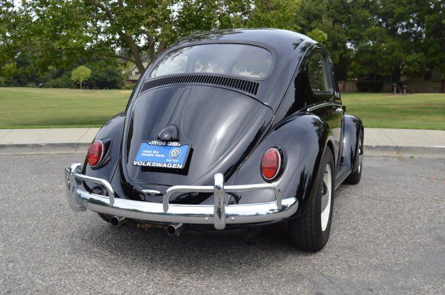 1963 Volkswagen Beetle-New -- - photo 5