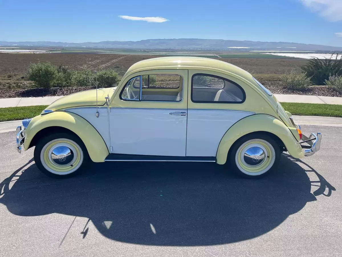 1963 VW Volkswagen beetle classic 1963 Volkswagen Beetle - Classic