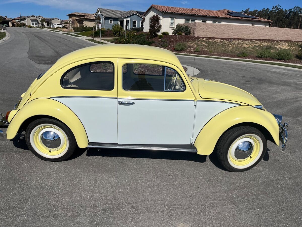 1963 Volkswagen Beetle - Classic - photo 3