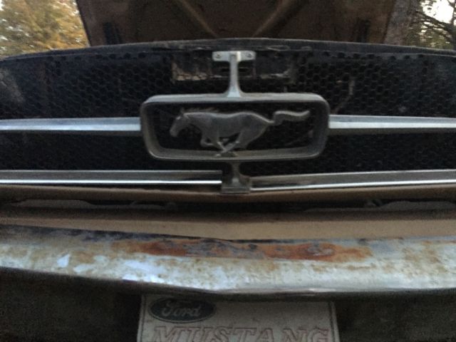 1964 1/2 MUSTANG 260V8 w/Generator 1964 Ford Mustang All Stock