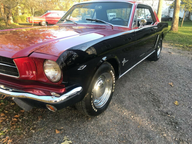 1964 1/2 MUSTANG **RESTO MOD**NICE, CLEAN CALIFORNIA CAR**260 V-8**NO RESERVE!! 1965 Ford Mustang