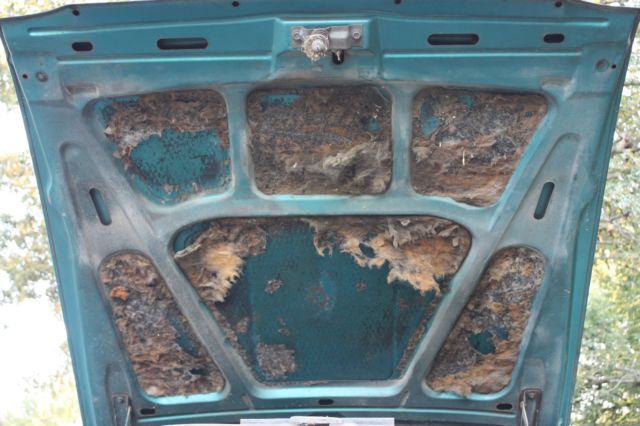 1964 AMC Other - photo 13