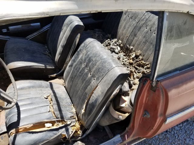 1964 Buick Skylark convertible - photo 13