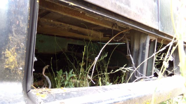 1964 Chevrolet Corvair Green Briar Van ***NO RESERVE*** - photo 11