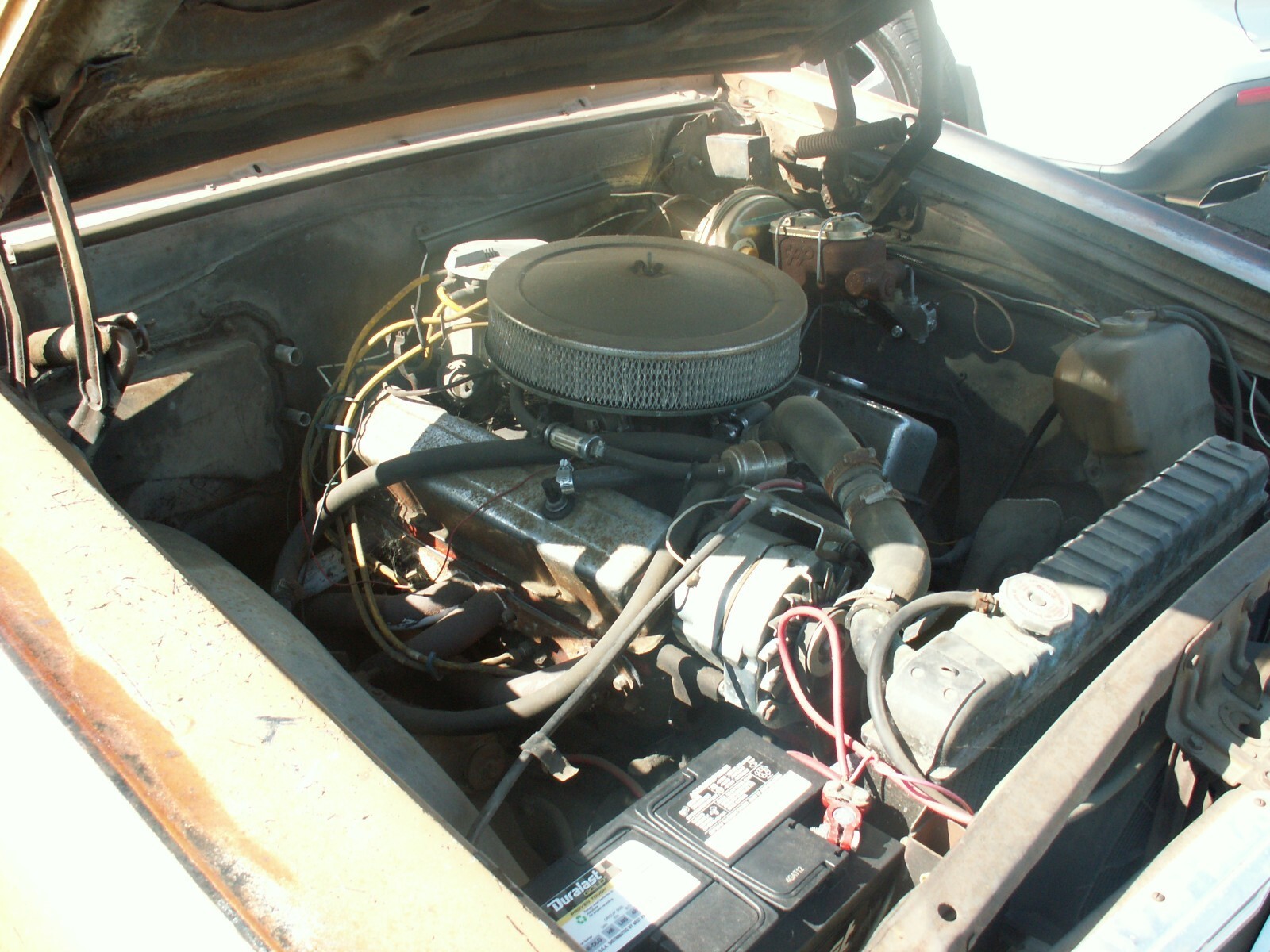 1964 Chevrolet Chevelle - photo 6