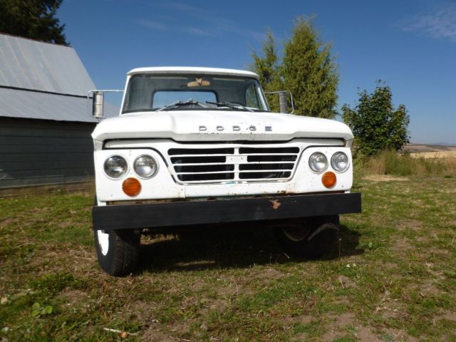 1964 Dodge Other Pickups D200 - photo 2