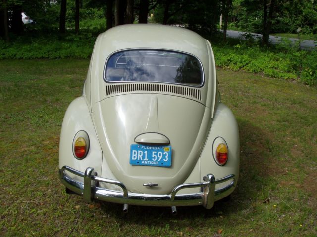 1964 Volkswagen Beetle - Classic - photo 2