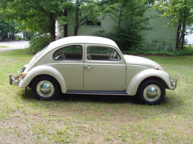 1964 Volkswagen Beetle - Classic - photo 3