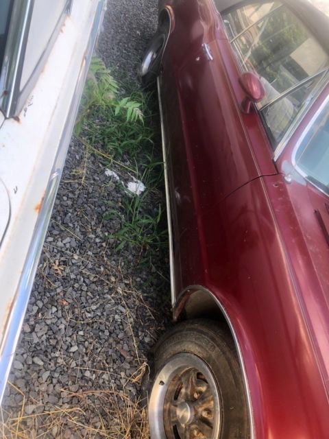 1964 Pontiac Le Mans - photo 6