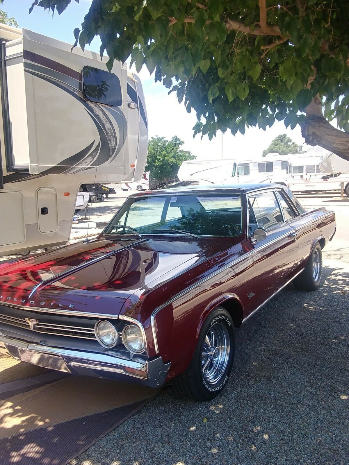 1964 Oldsmobile Cutlass - photo 2
