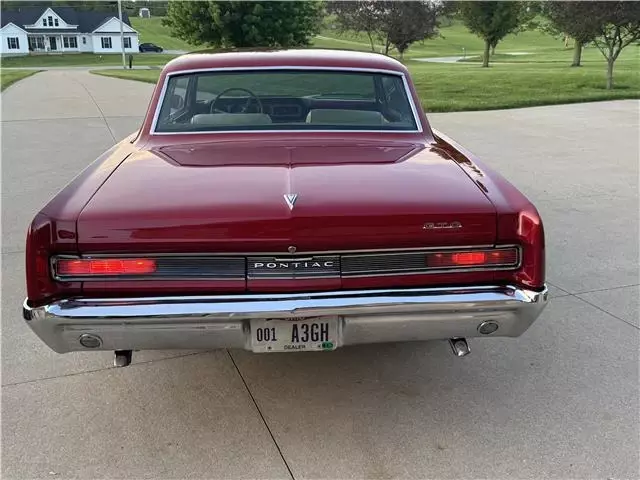 1964 Pontiac GTO GTO - photo 3