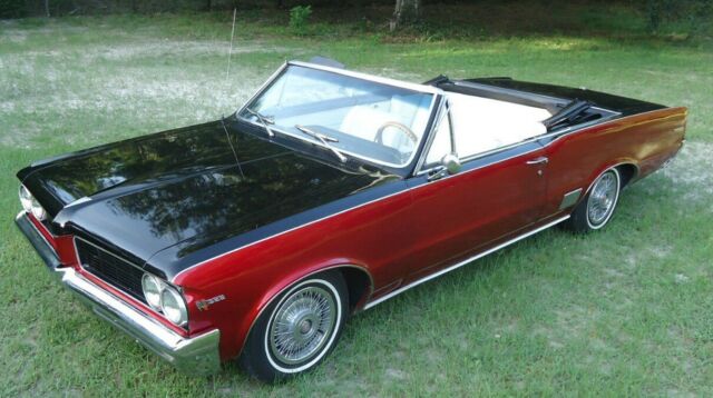1964 Pontiac Le Mans Convertible - photo 6