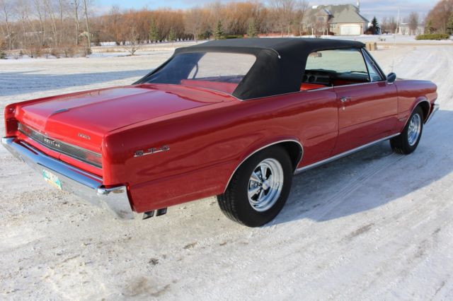 1964 Pontiac GTO LEMANS GTO - photo 3