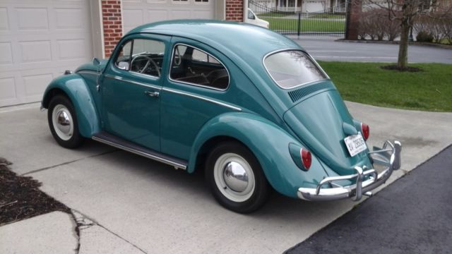 1964 Volkswagen Beetle - Classic Beetle - photo 2