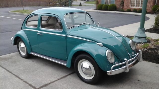 1964 Volkswagen Beetle - Classic Beetle - photo 5