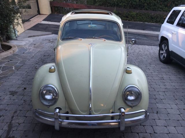 1964 Volkswagen Beetle - Classic STEEL SUNROOF-FLIP REAR WINDOWS - photo 3